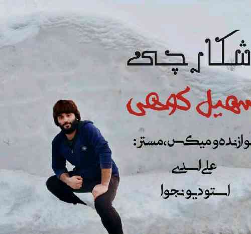 دانلود آهنگ شکارچی سهیل کوهی